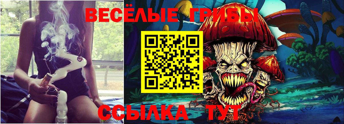 Галлюциногенные грибы GOLDEN TEACHER Нижний Новгород